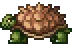 Giant Tortoise