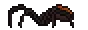 Black Recluse