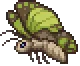 Moth