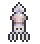 Squid