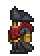 Pirate