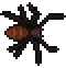 Black Recluse