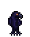 Raven