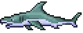 Shark