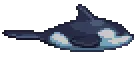 Orca
